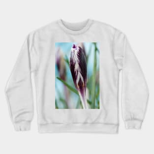 Crocus  'Spring Beauty' Crewneck Sweatshirt